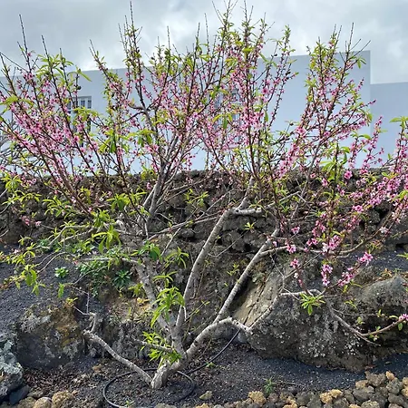 Casablanca El Hierro *